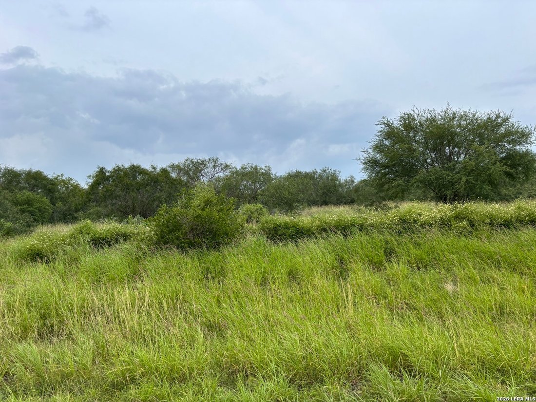 Farm Ranch in Realitos, Texas, United States 1 - 18108238