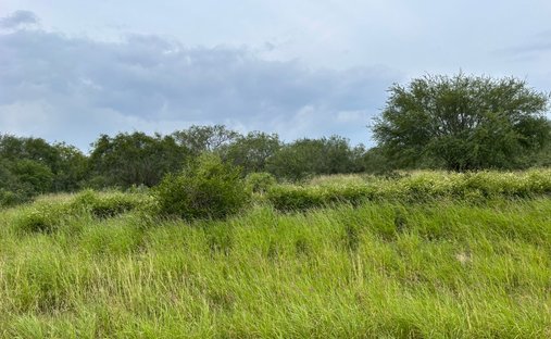 Farm Ranch in Realitos, Texas, United States 1