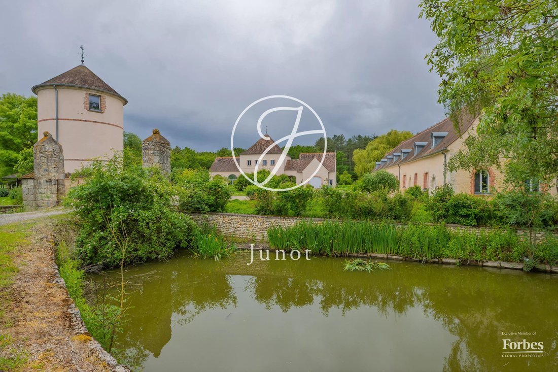 Estate in Beaune-la-Rolande, Centre-Val de Loire, France 2 - 18091124