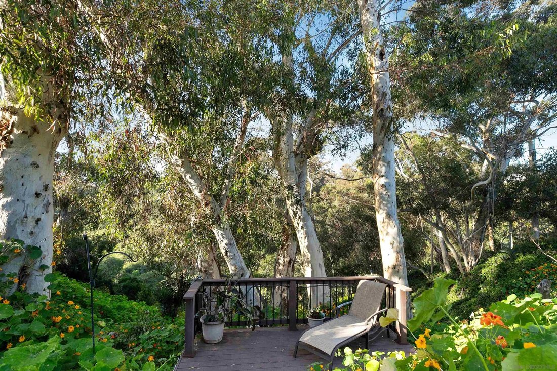 House in San Diego, California, United States 5 - 18095423