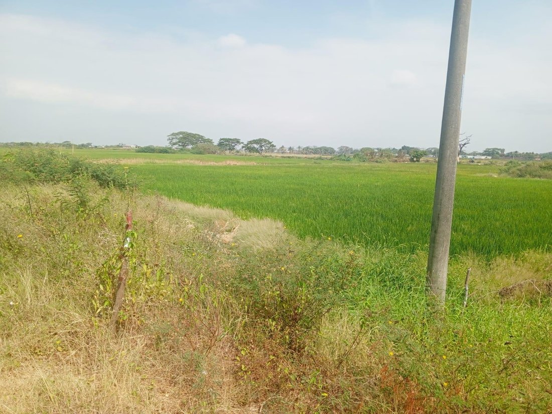 Land in Samborondón, Guayas, Ecuador 3 - 18093117