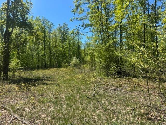 Land in Wequetonsing, Michigan, United States 5 - 18104087
