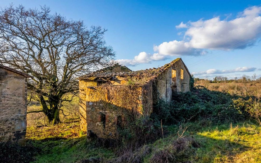Farm Ranch in Radicondoli, Tuscany, Italy 5 - 18096533