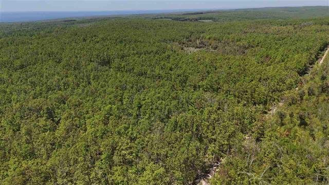 Land in Wequetonsing, Michigan, United States 3 - 18104087
