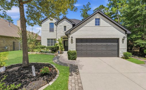 House in Spring, Texas, United States 1