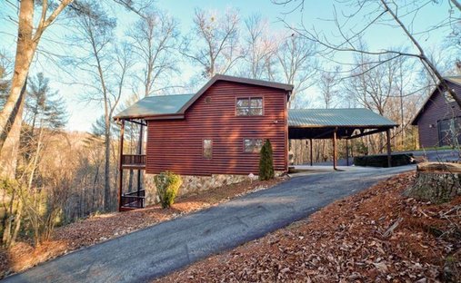 Casa a Cherry Log, Georgia, Stati Uniti 1
