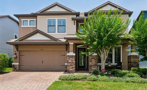 House in Odessa, Florida, United States 1