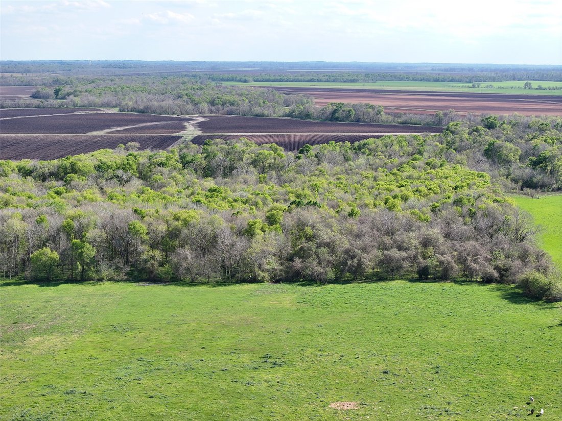 Farm Ranch in Navasota, Texas, United States 5 - 18095906