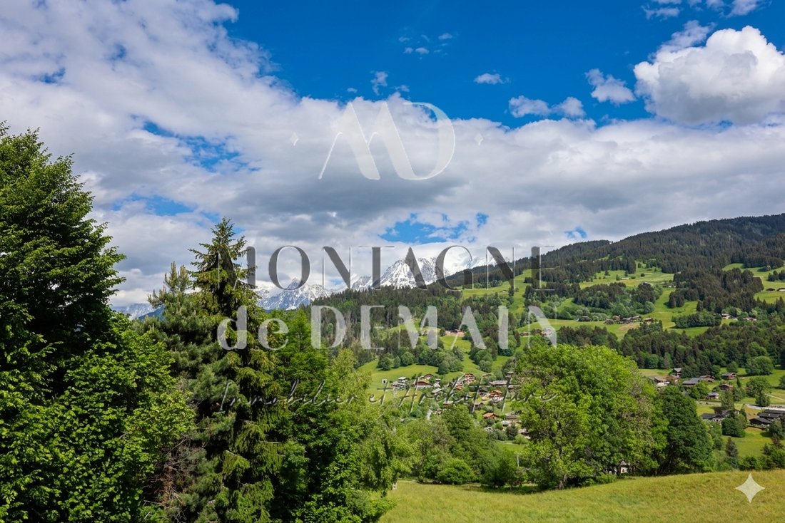 Land in Demi-Quartier, Auvergne-Rhône-Alpes, France 1 - 18103572