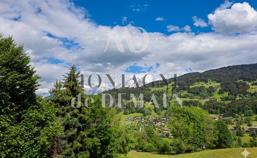 Land in Demi-Quartier, Auvergne-Rhône-Alpes, France 1