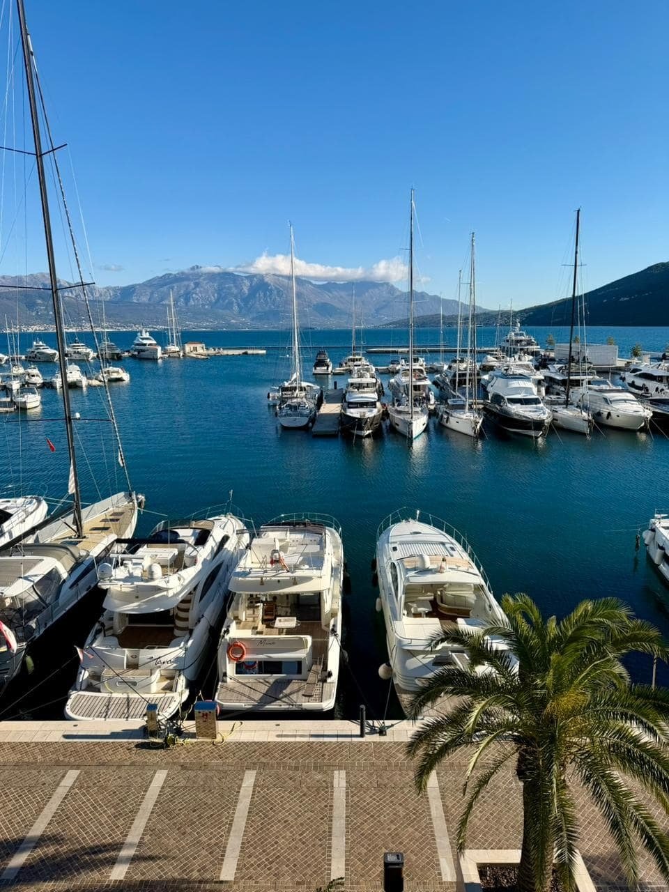 Apartment in Kumbor, Herceg Novi Municipality, Montenegro 2 - 16844786