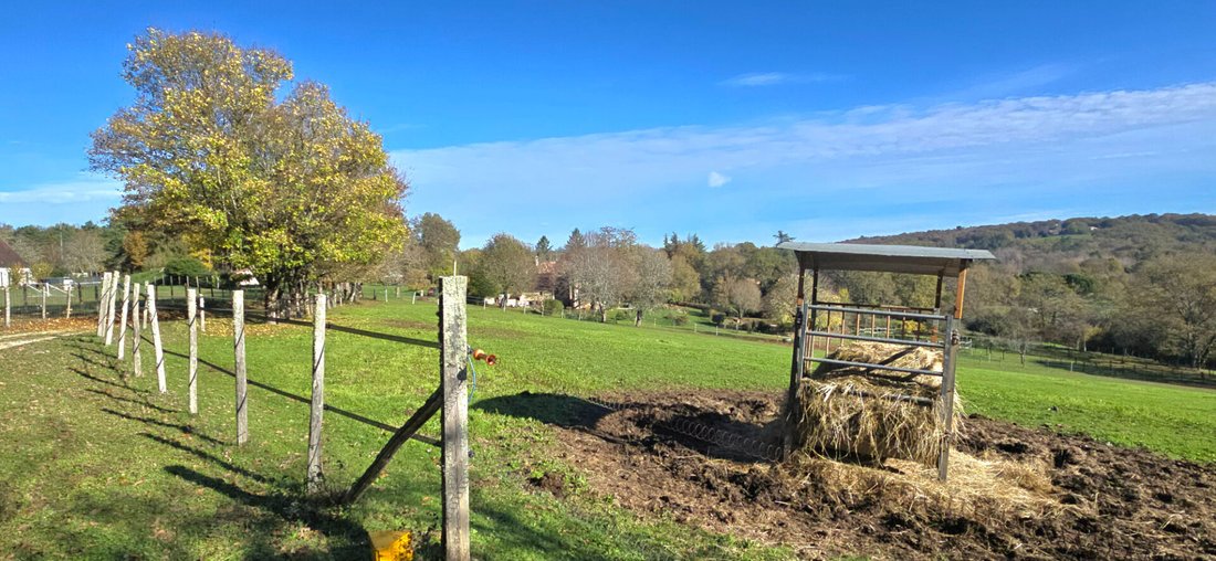Villa in Sainte-Alvere, Val de Louyre et Caudeau, France 5 - 18099575