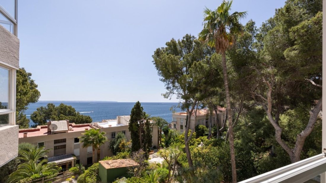 Apartment in Cas Catala, Calvia, Balearic Islands 2 - 18084813