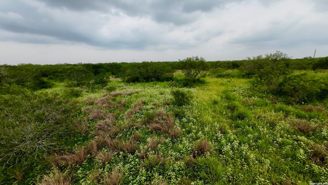 Farm Ranch in Realitos, Texas, United States 5 - 18108238