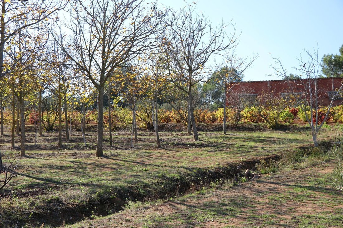 Finca in Cistella, Catalonia, Spain 5 - 18096424