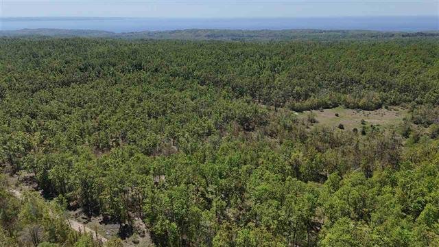 Land in Wequetonsing, Michigan, United States 4 - 18104087
