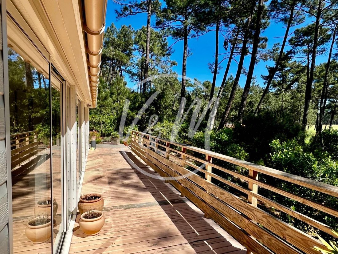 Chalet a Le Porge, Nuova Aquitania, Francia 5 - 16479444