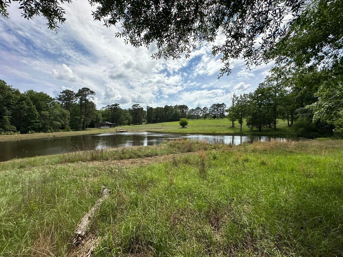 House in Florala, Alabama, United States 4 - 18108359