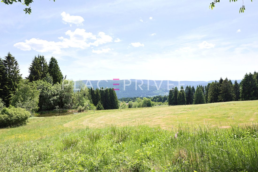 Villa in Ecarts et Coteaux, Gerardmer, France 2 - 18106609