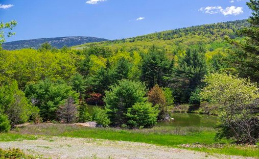 Land in Mount Desert, Maine, United States 1