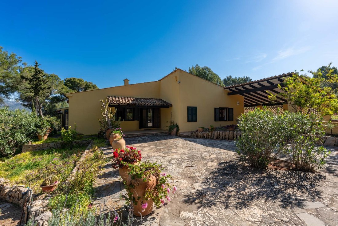 Villa in Port d'Andratx, Andratx, Balearic Islands 1 - 18092986