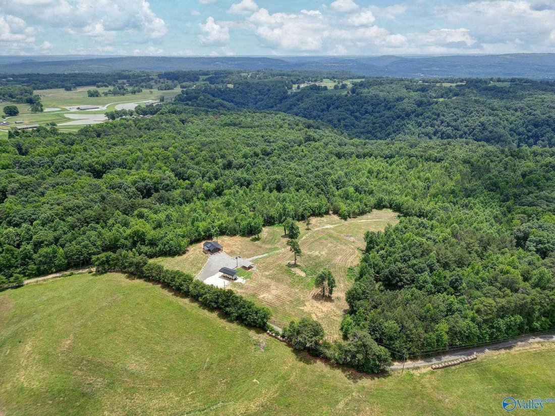 House in Blountsville, Alabama, United States 3 - 18095394