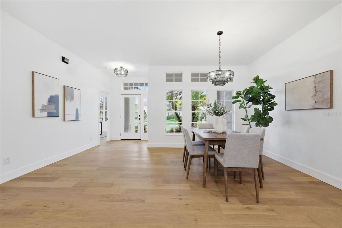 House in Tampa, Florida, United States 3 - 18095503