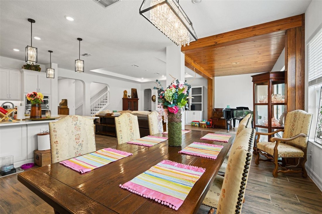 House in Odessa, Florida, United States 4 - 18100745
