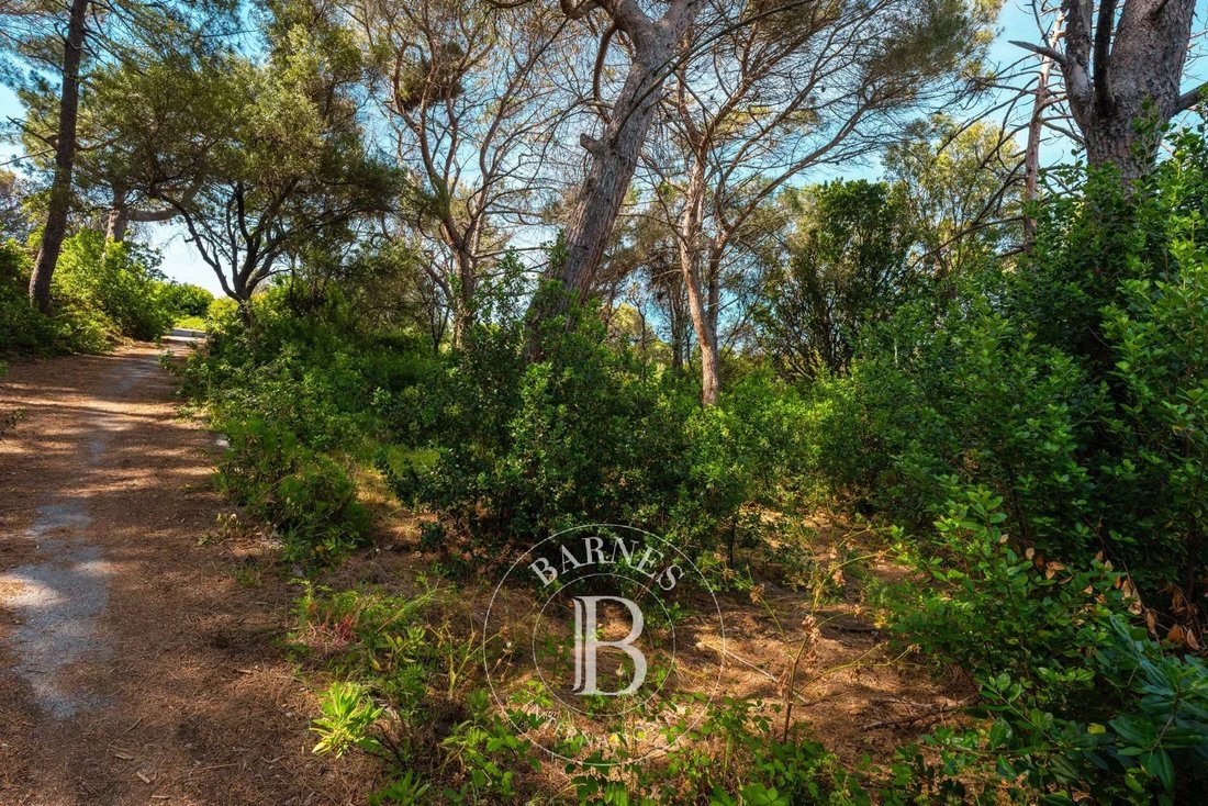 Land in Centuri, Corsica, France 1 - 17863036