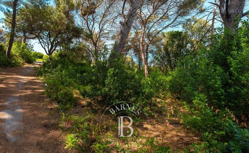 Land in Centuri, Corsica, France 1