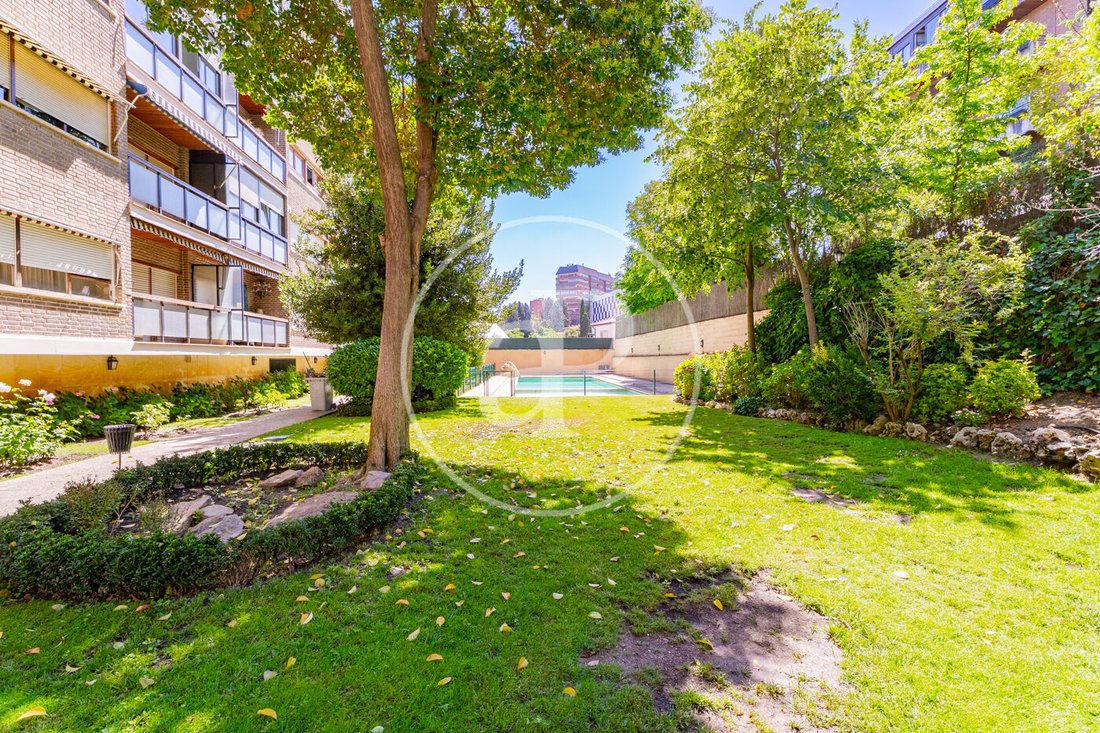 Apartment in Moncloa-Aravaca, Madrid, Spain 4 - 18098738
