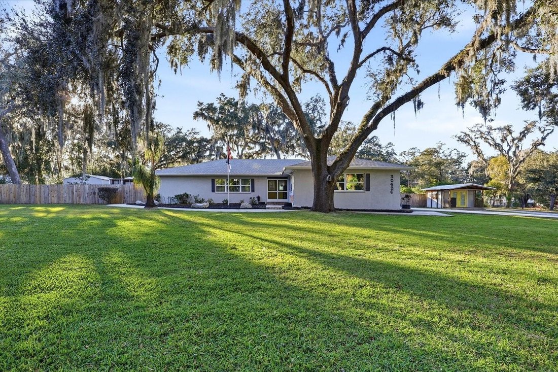 House in Wesley Chapel, Florida, United States 2 - 18100749