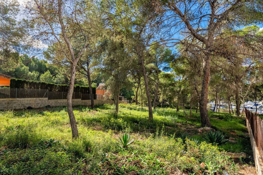 Land in Santa Ponsa, Balearic Islands, Spain 3 - 18093373