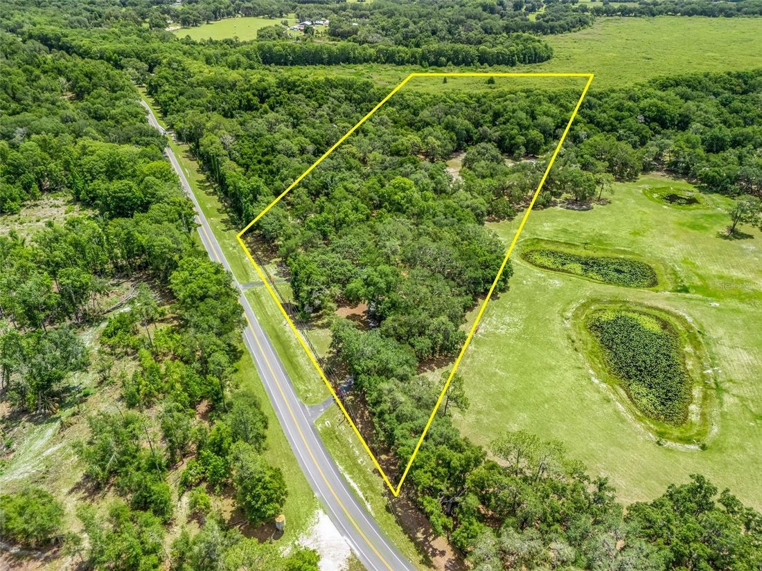 House in Bushnell, Florida, United States 3 - 18094396