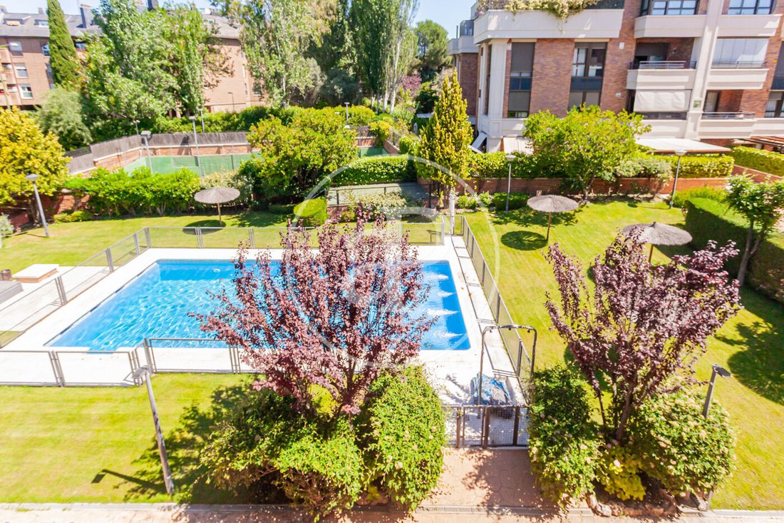 Apartment in Majadahonda, Comunidad de Madrid, Spain 4 - 16803655