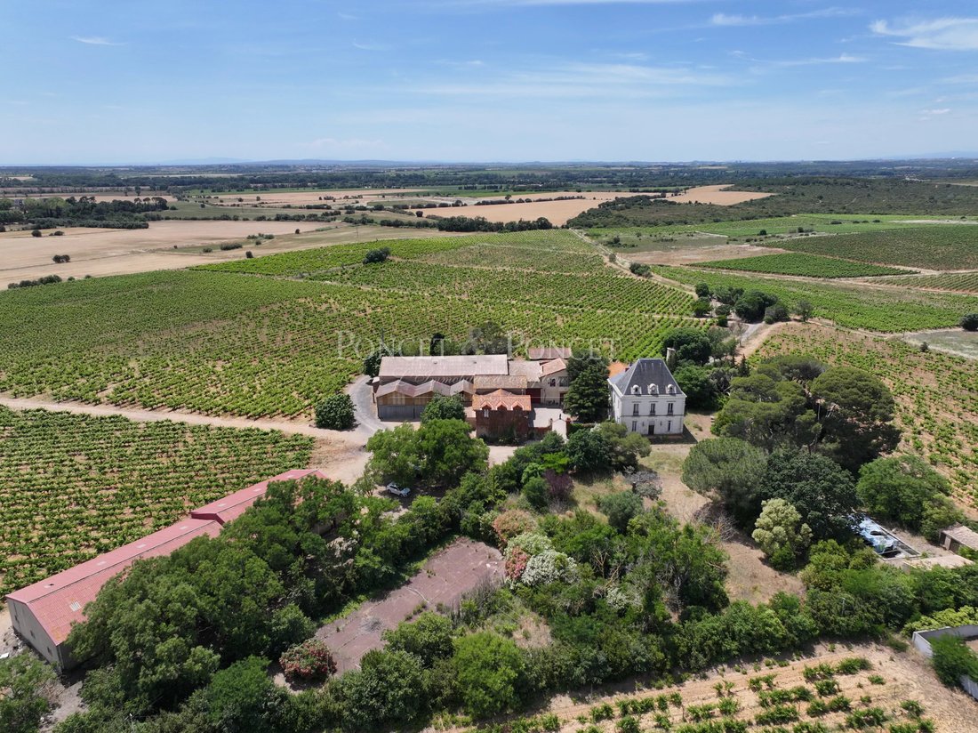 Farm Ranch in Le Grau d'Agde, Agde, France 2 - 17103865