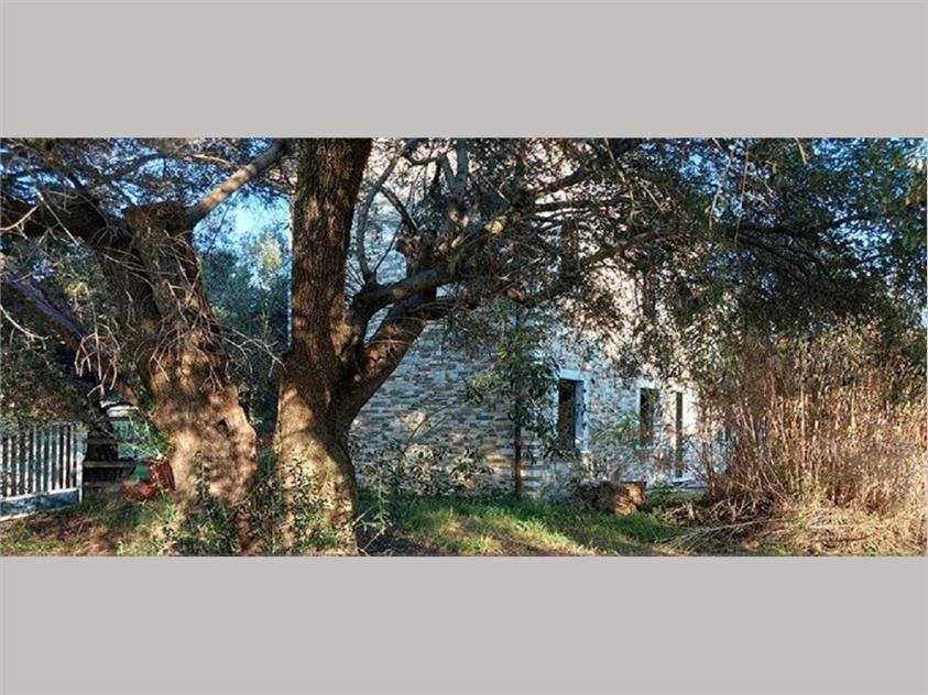 Villa in Center, Forte dei Marmi, Tuscany 5 - 18100729
