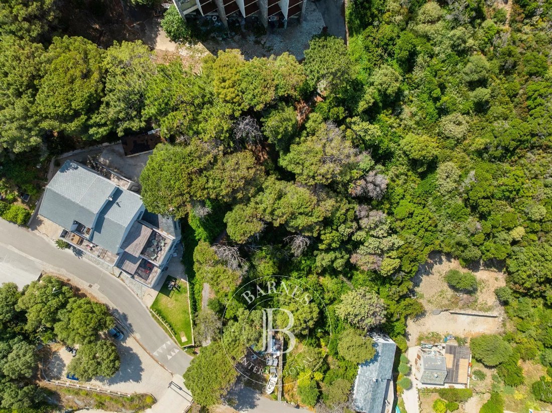 Land in Centuri, Corsica, France 3 - 17863036