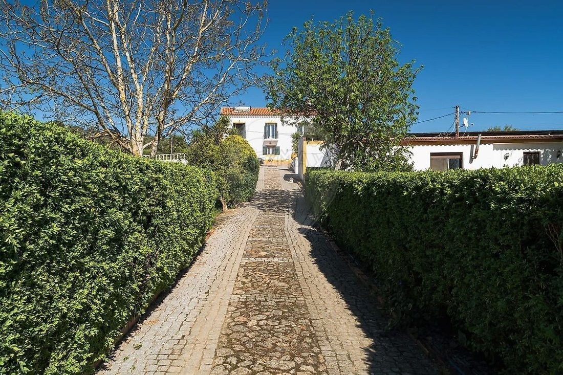 House in Nossa Senhora da Expectacao, Portalegre District, Portugal 3 - 18099055