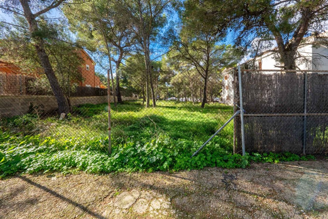 Land in Santa Ponsa, Balearic Islands, Spain 4 - 18093373