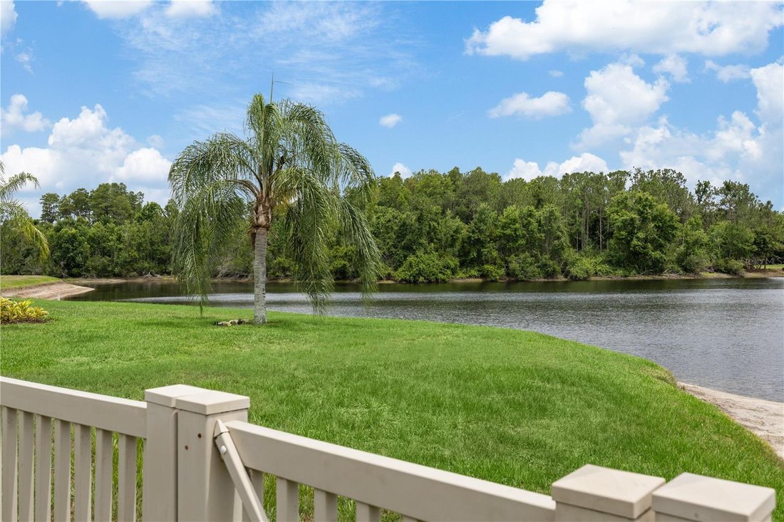 House in Land O' Lakes, Florida, United States 4 - 17181157