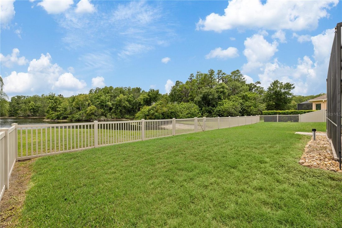 House in Land O' Lakes, Florida, United States 5 - 17181157