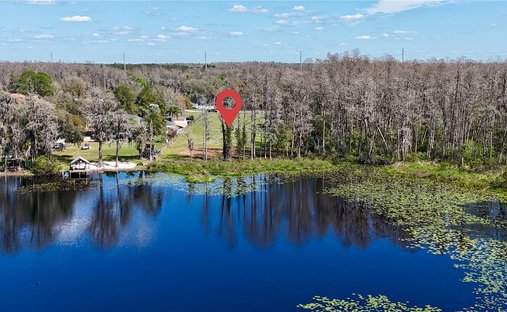 Land in Land O' Lakes, Florida, United States 1