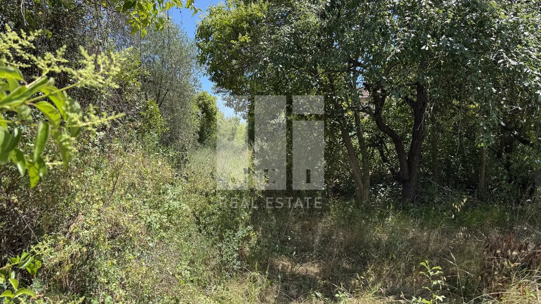 Land in Mougins, Provence-Alpes-Côte d'Azur, France 5 - 18093421