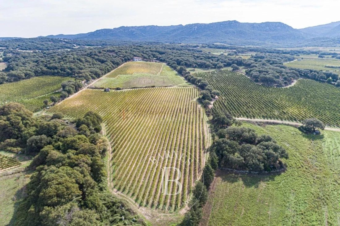 Villa à Monti, Sardaigne, Italie 3 - 18100906