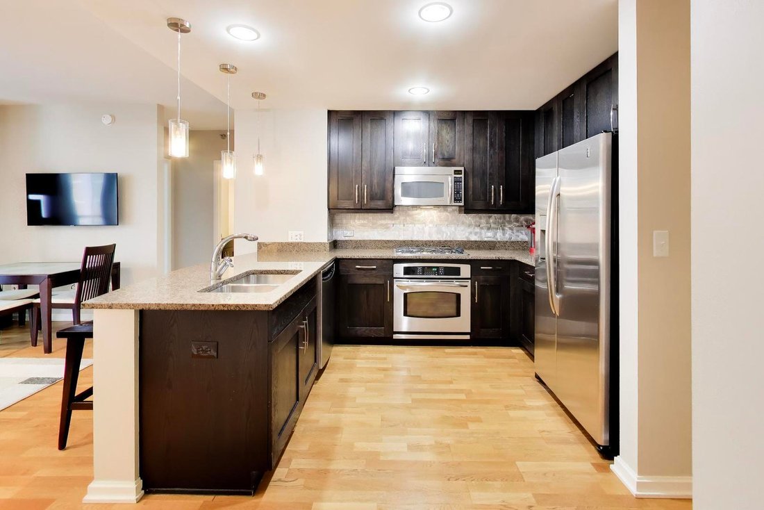 Condo in Chicago, Illinois, United States 5 - 18097260