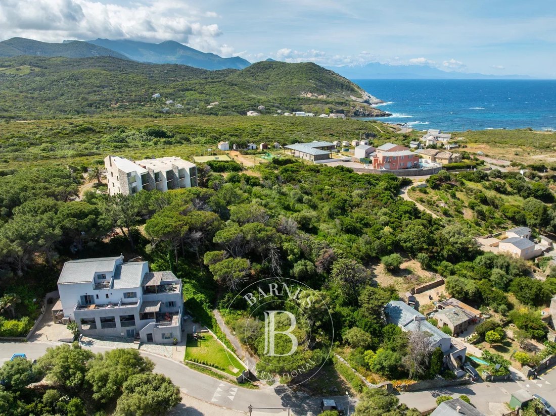 Land in Centuri, Corsica, France 4 - 17863036