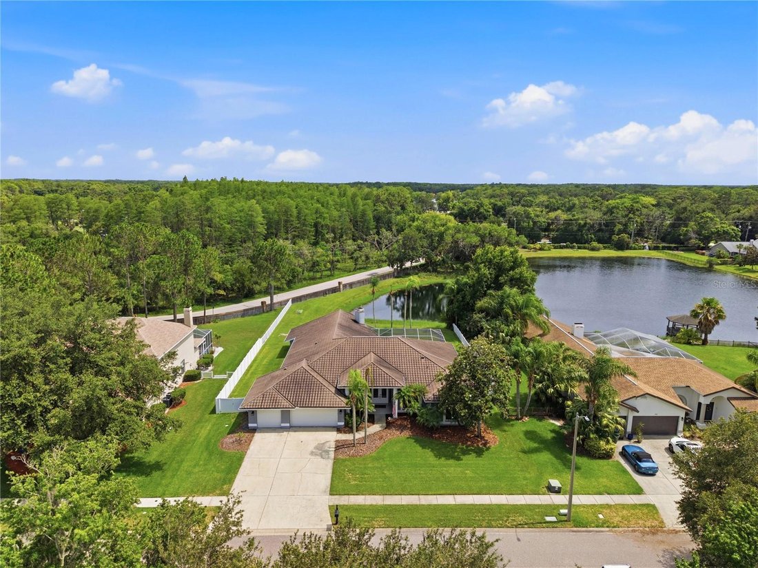 House in Odessa, Florida, United States 1 - 18100741