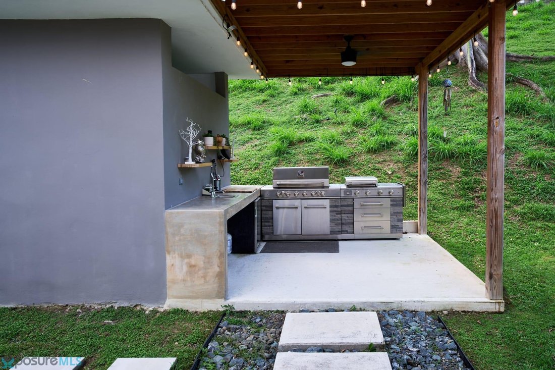 House in Caguas, Caguas, Puerto Rico 3 - 18092785