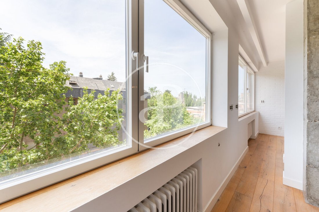 Apartment in Moncloa-Aravaca, Madrid, Spain 4 - 18098705